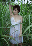 きみの歩美