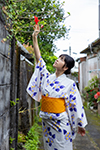 根尾あかり